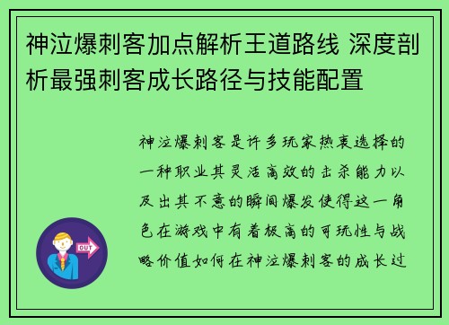 神泣爆刺客加点解析王道路线 深度剖析最强刺客成长路径与技能配置 神泣爆刺客加点解析王道路线 深度剖析最强刺客成长路径与技能配置